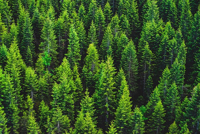 sven-mieke-DOm31UtmnL8-unsplash.jpg