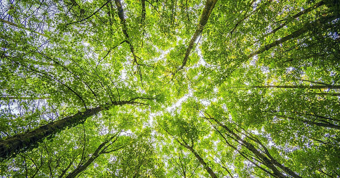 Kein Titel (1920 x 1080 px) (LinkedIn-Werbeanzeige mit Einzelbild) - 33