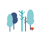 Durchforstung.png Durchforstung.png