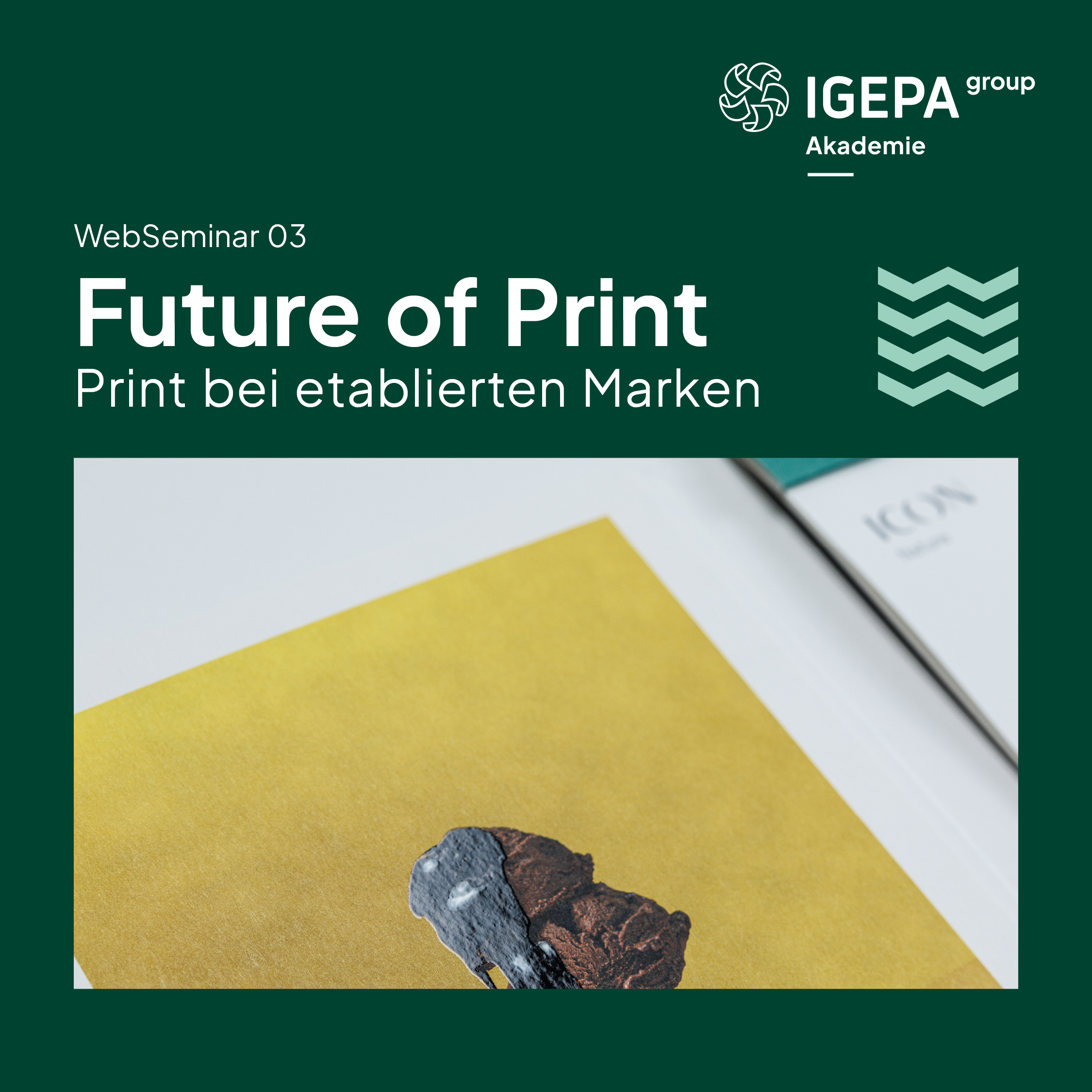 WebSeminar-Reihe_Future-of-Print_Instagram-Feeds3.jpg WebSeminar-Reihe_Future-of-Print_Instagram-Feeds3.jpg